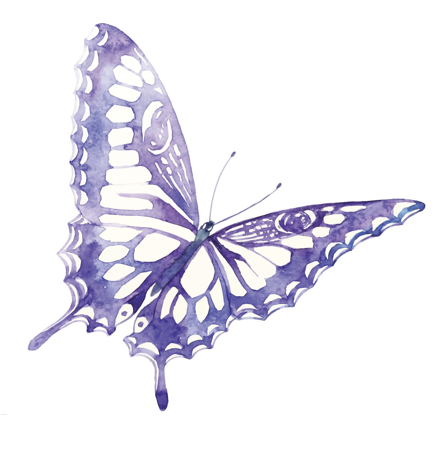 Watercolor illustration of the butterfly flying, Watercolor texture,