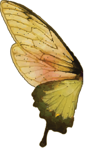 Badass Butterfly Left Wing