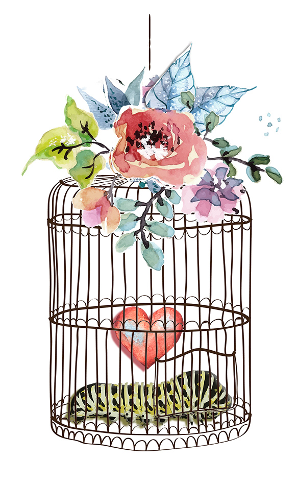 Crystal Lynn Bell Badass Butterfly watercolor flowers and bird cage